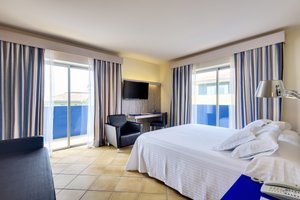 Deluxe Room (Balcony or Terrace)