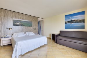 Deluxe Room (Balcony or Terrace)