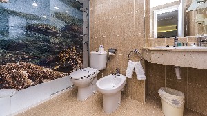 Hotel APARTAMENTOS GLOBALES LORD NELSON wakacje