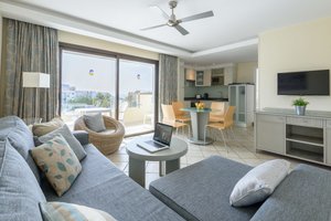 1 Bedroom Apartment (Balcony or Terrace)