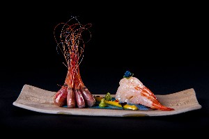 SAN HO (NIKKEI) ADULTS ONLY