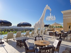 top restaurant terrace