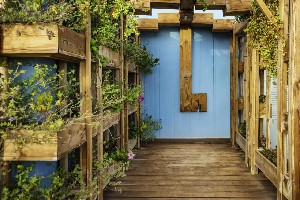 Hotel PARADISE PARK FUN LIFESTYLE wakacje