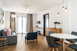1 bedroom apartment