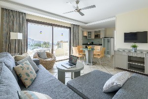 1 Bedroom Apartment (Balcony or Terrace)