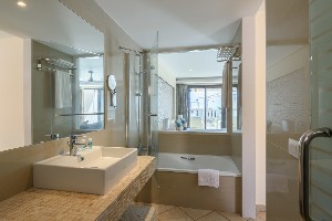 Studio (Balcony or Terrace)