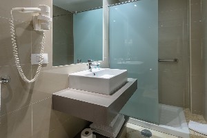 1 Bedroom Apartment (Balcony or Terrace)