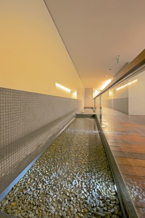 Spa and wellness