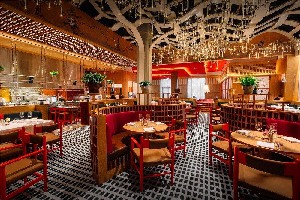 Hotel ATLANTIS THE PALM DUBAI wakacje