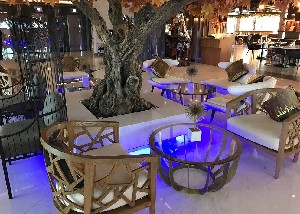 Hotel C CENTRAL RESORT THE PALM wakacje