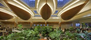 Hotel GRAND HYATT DUBAI RESORT & WATERPARK wakacje