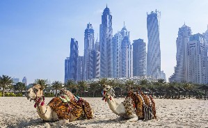 Hotel HABTOOR GRAND BEACH RESORT & SPA wakacje