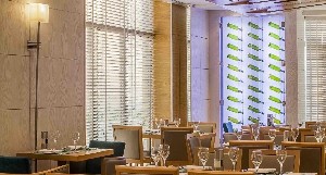 Hotel HILTON DUBAI THE WALK wakacje