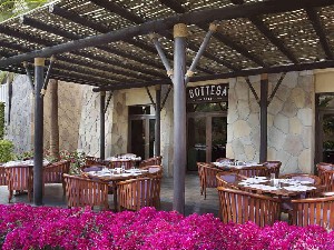 Hotel SOFITEL DUBAI THE PALM RESORT & SPA wakacje