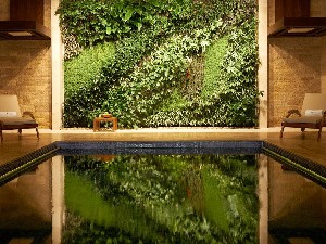 Hotel SOFITEL DUBAI THE PALM RESORT & SPA wakacje