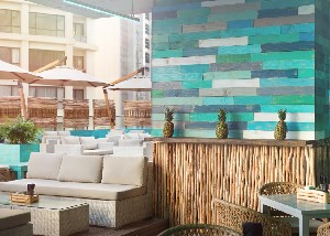 Hotel TRYP BY WYNDHAM DUBAI wakacje