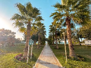 Hotel BM BEACH HOTEL wakacje