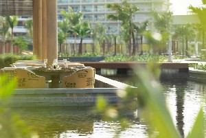 Hotel INTERCONTINENTAL RAS AL KHAIMAH RESORT AND SPA wakacje