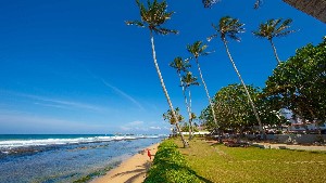 Citrus Hikkaduwa 4* (4*)