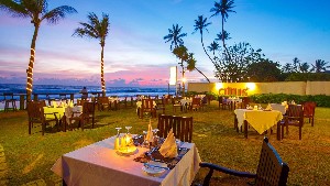 Citrus Hikkaduwa 4* (4*)