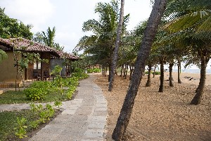 Club Hotel Dolphin 4* (4*)