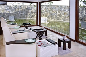 Spa and wellness