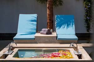 Spa and wellness