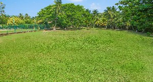 Club Palm Bay 4* (4*)