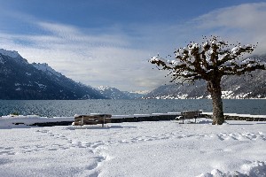 Hotel BRIENZ wakacje