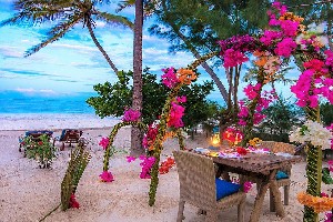 Hotel INDIGO BEACH ZANZIBAR wakacje