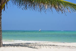 Hotel NEPTUNE PWANI BEACH RESORT & SPA wakacje