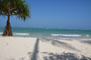 Hotel NEPTUNE PWANI BEACH RESORT & SPA wakacje