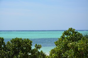 Hotel NEPTUNE PWANI BEACH RESORT & SPA wakacje