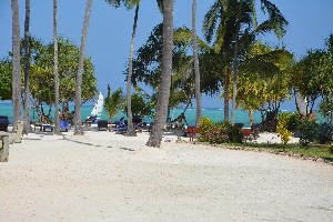 Hotel NEPTUNE PWANI BEACH RESORT & SPA wakacje