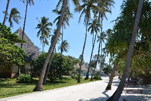 Hotel NEPTUNE PWANI BEACH RESORT & SPA wakacje