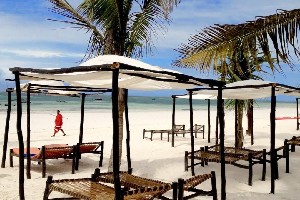 Hotel VOI KIWENGWA RESORT wakacje