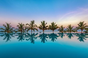 Hotel SEA CLIFF RESORT & SPA wakacje