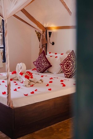 Hotel SUNSHINE BAY HOTEL ZANZIBAR wakacje