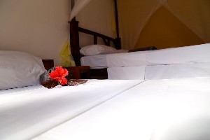 Hotel KIGWEDENI VILLAS ZANZIBAR wakacje