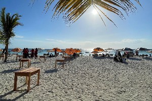 Hotel MAX HOTEL NUNGWI wakacje