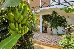 Hotel MAX HOTEL NUNGWI wakacje