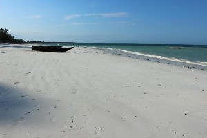 Hotel JAZ ADONIA BEACH RESORT wakacje