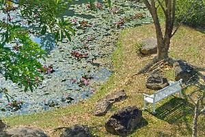 Dusit Thani Krabi Beach Resort 5* (5*)