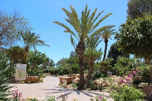 Hotel ROYAL KARTHAGO wakacje