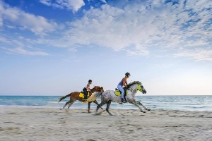 Hotel ALDIANA CLUB DJERBA ATLANTIDE wakacje