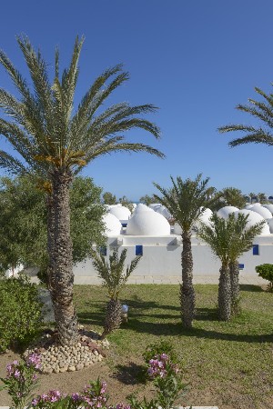 Hotel DAR DJERBA ZAHRA wakacje