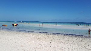 Hotel DJERBA GOLF RESORT & SPA wakacje