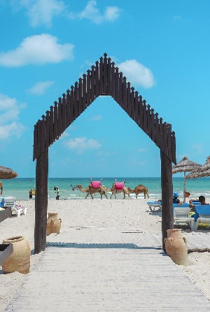 Hotel FIESTA BEACH CLUB wakacje