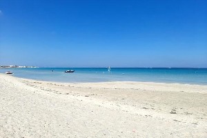 Hotel MENINX RESORT SPA & AQUA PARK (EX.RIADH MENINX & CLUB MENINX) wakacje