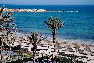 Hotel VINCCI SAFIRA PALMS wakacje